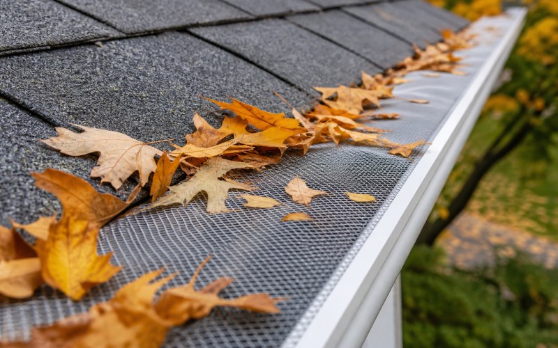 Gutter sizing and leaf protection system